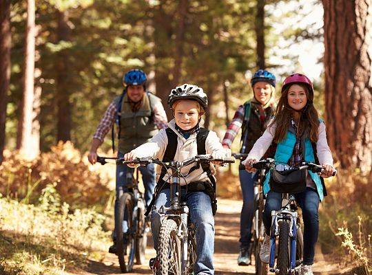 Cycle routes near Łeba