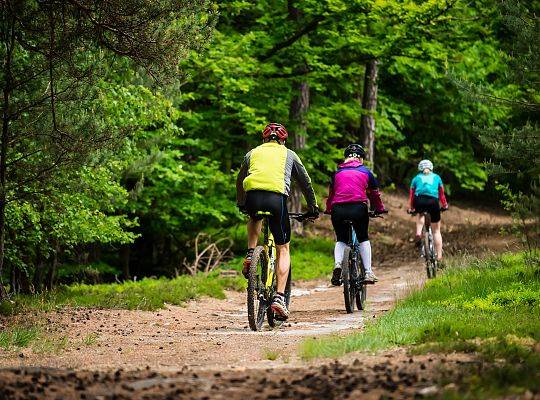 Cycle routes for families with children