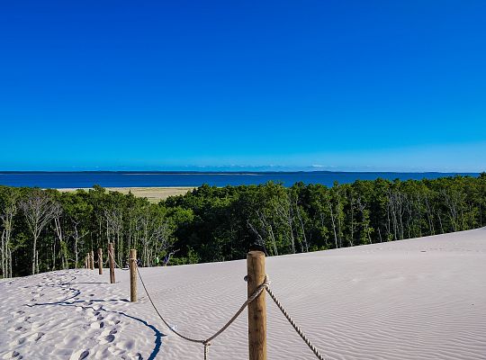 Shifting dunes near Łeba